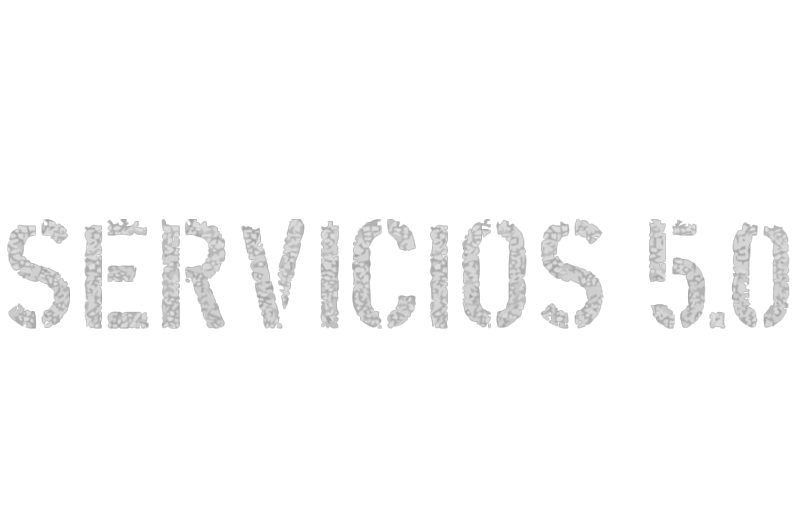 Servicios 5.0